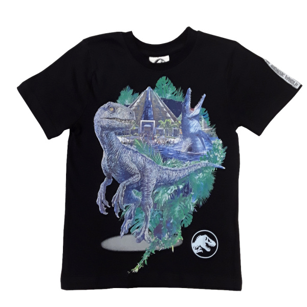 Μπλουζάκι T-shirt Dragon Night Black 5904009086667
